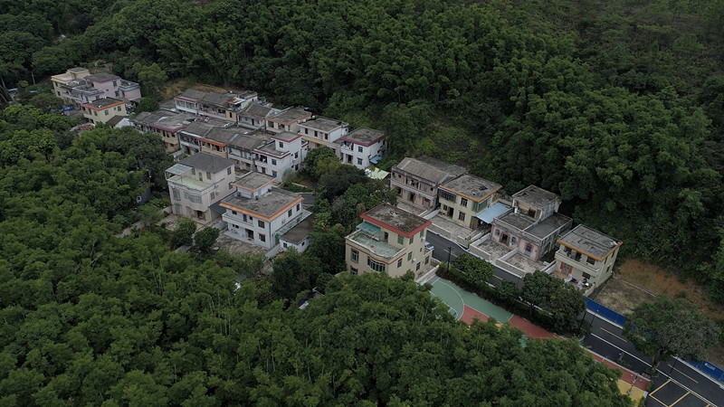 五桂山和平村旅游图片