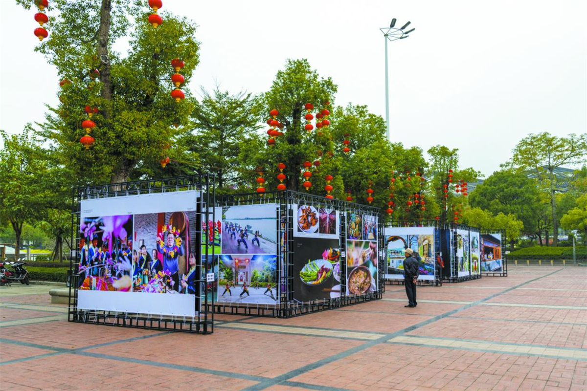 兴中园时发现,一场以"我的乡村我的家"为主题的户外摄影展览已布置