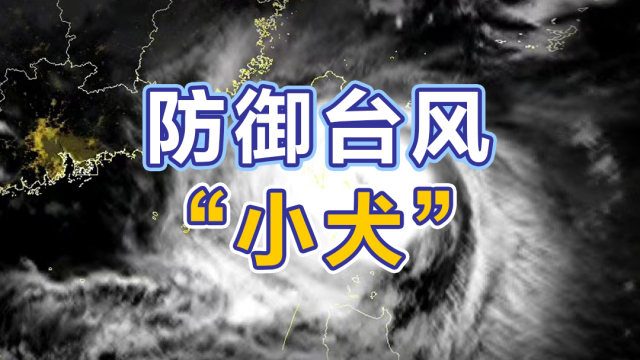 专题丨防御台风“小犬”