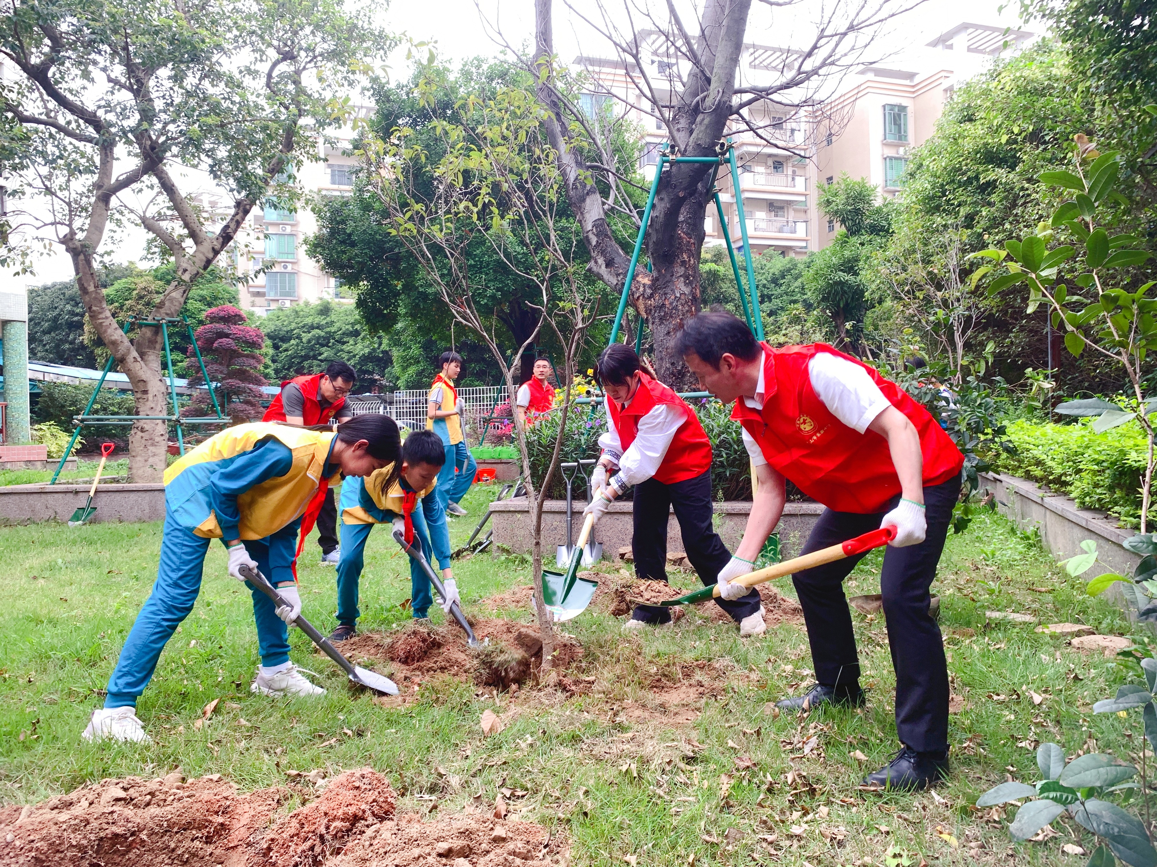 4月9日,一场"大手拉小手"植树增绿活动在中山市实验小学如火如荼地