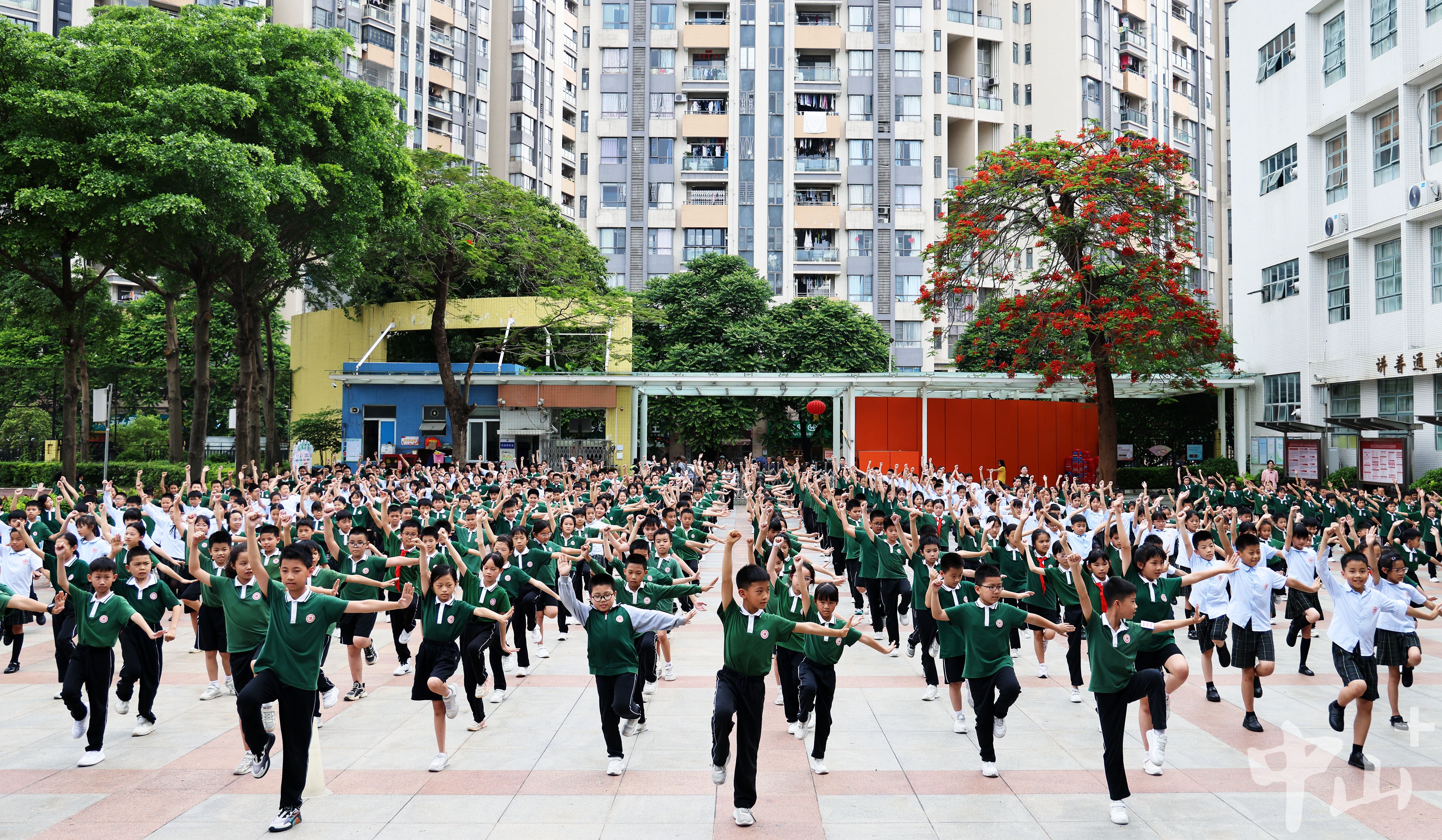 中山市东区水云轩小学开展武术进校园近20年,塑造阳光"醒目"少年丨