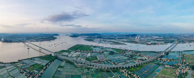 南沙大桥全景。记者 刘大伟 摄