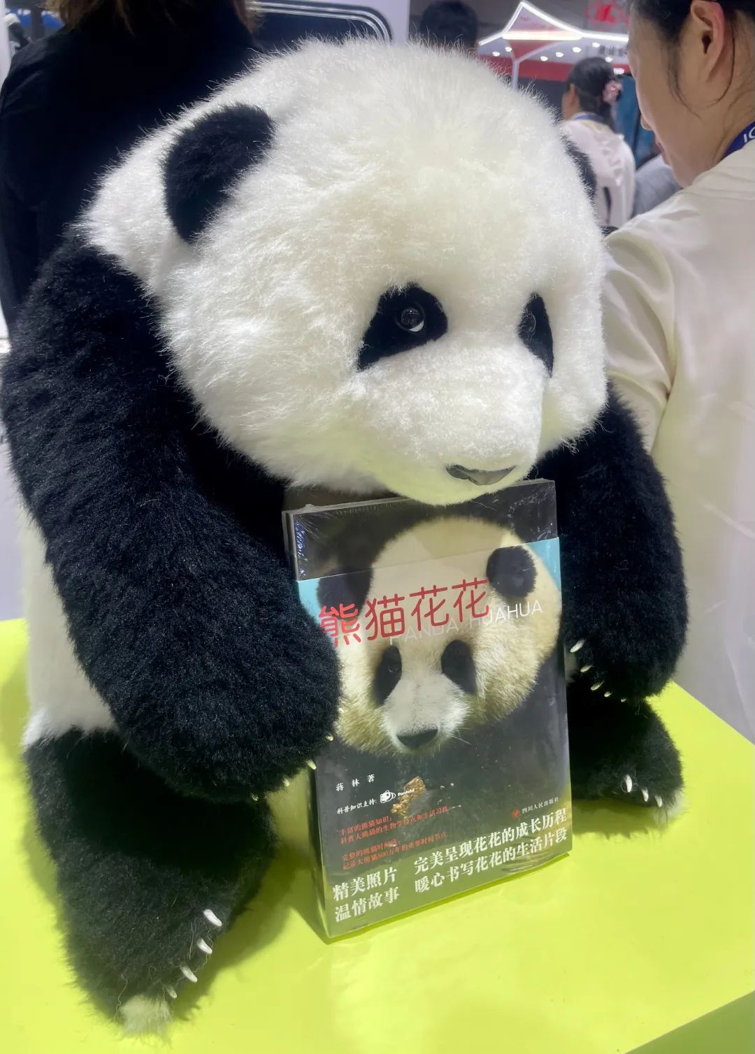 图片