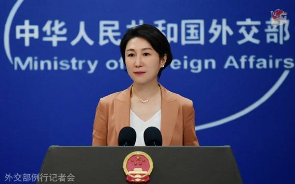 毛宁资料图。图源：外交部网站