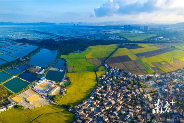 俯瞰崖口村，田園風(fēng)光與海景相得益彰。