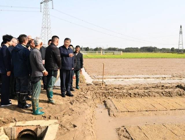2024年3月19日下午，习近平总书记在湖南省常德市鼎城区谢家铺镇港中坪村走进田间，察看秧苗培育和春耕备耕进展。新华社记者 燕雁 摄