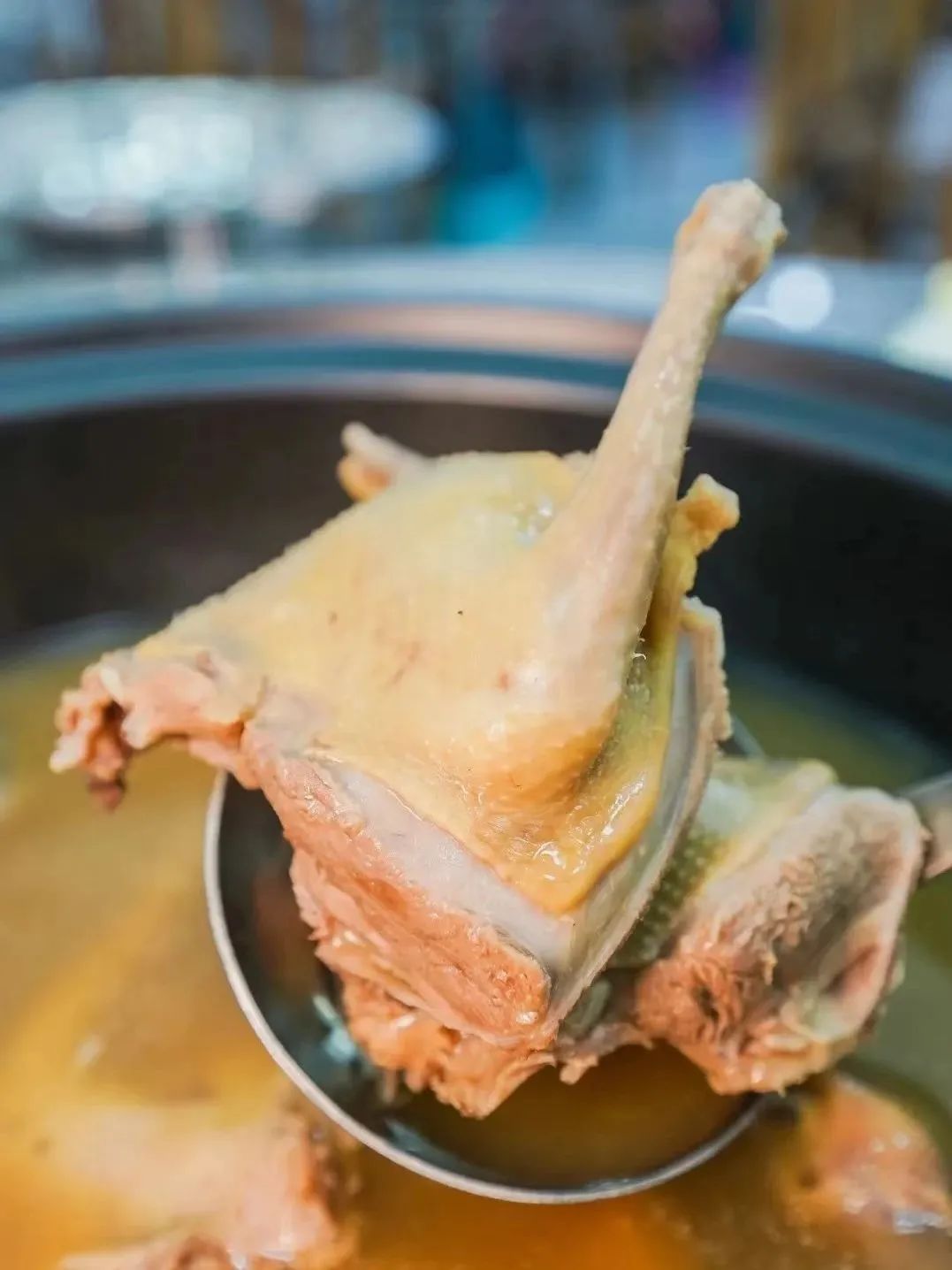 皇鸽餐厅3.jpg