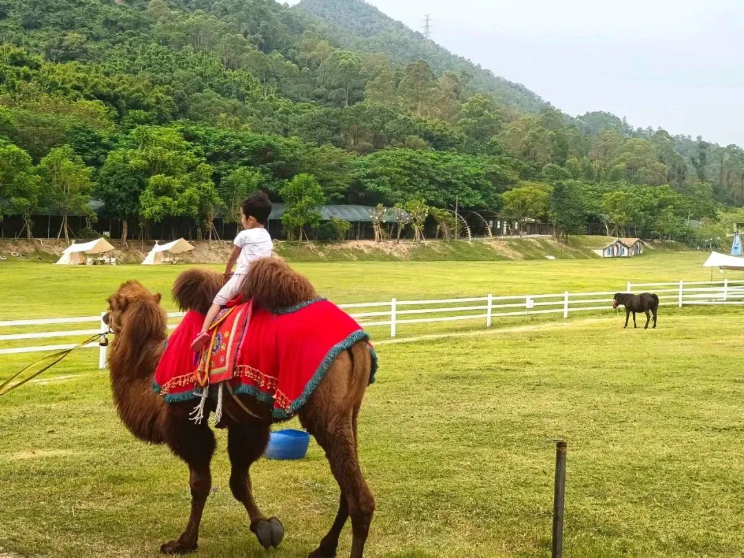 牧语田园1.jpg