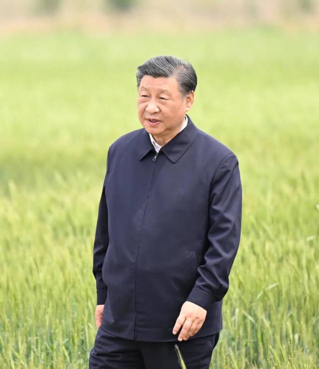 △2023年5月11日，习近平总书记在河北沧州黄骅市旧城镇仙庄片区旱碱地麦田，了解当地旱碱麦种植推广及产业化等情况。