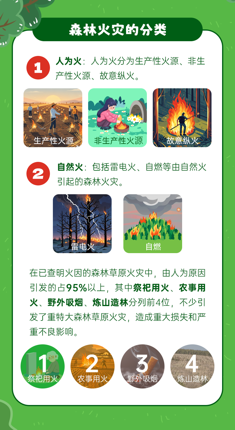 一图读懂森林火灾(1).png