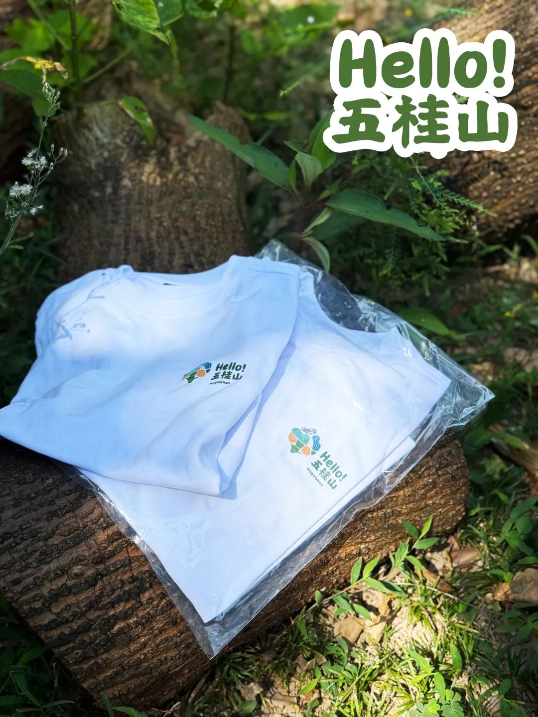 1副本.jpg