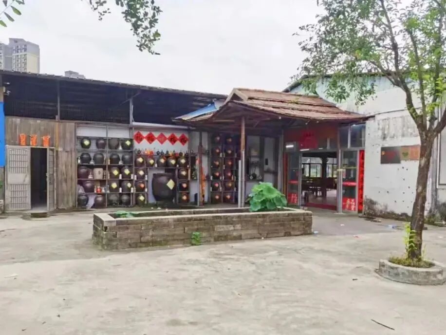 微信图片_2025-09-02_174353_803.jpg