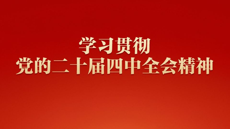 專題 | 學(xué)習(xí)貫徹黨的二十屆四中全會精神