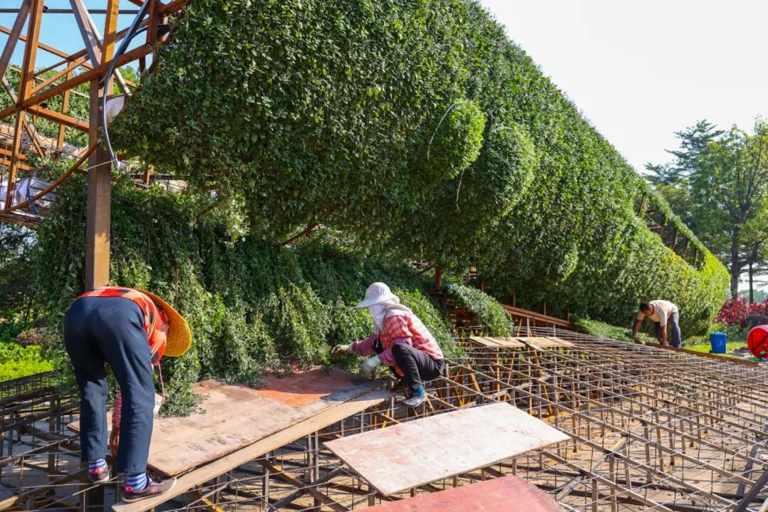 花影星舰施工 (1).jpg