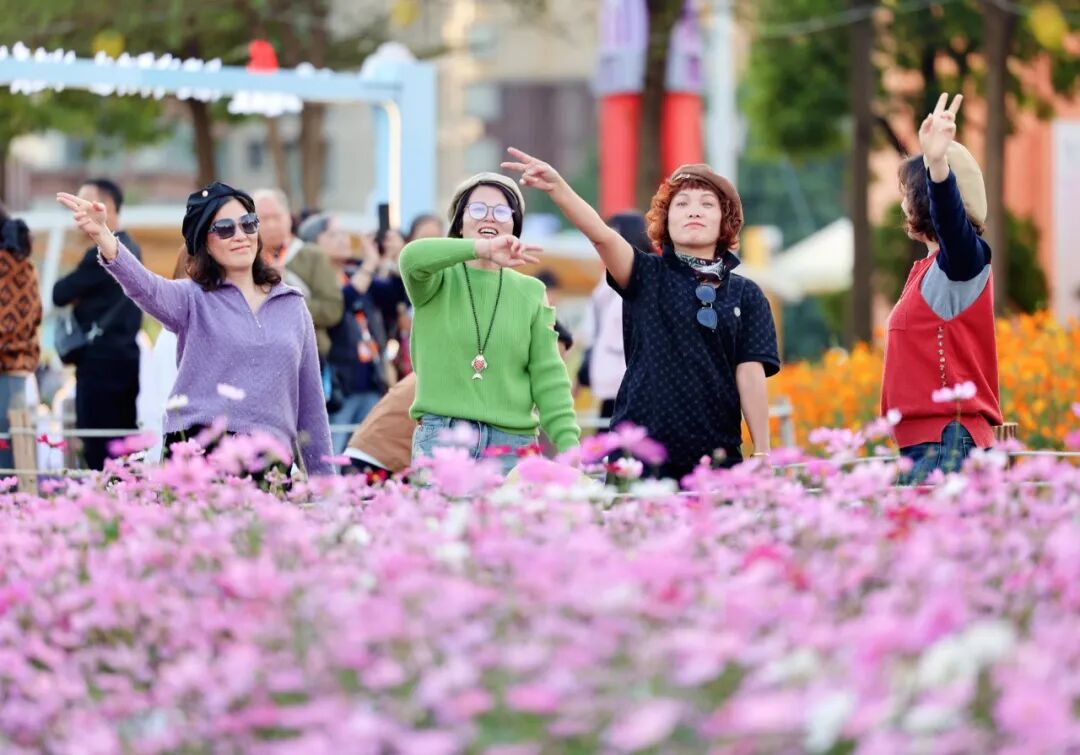 花海音乐会 (7).jpg