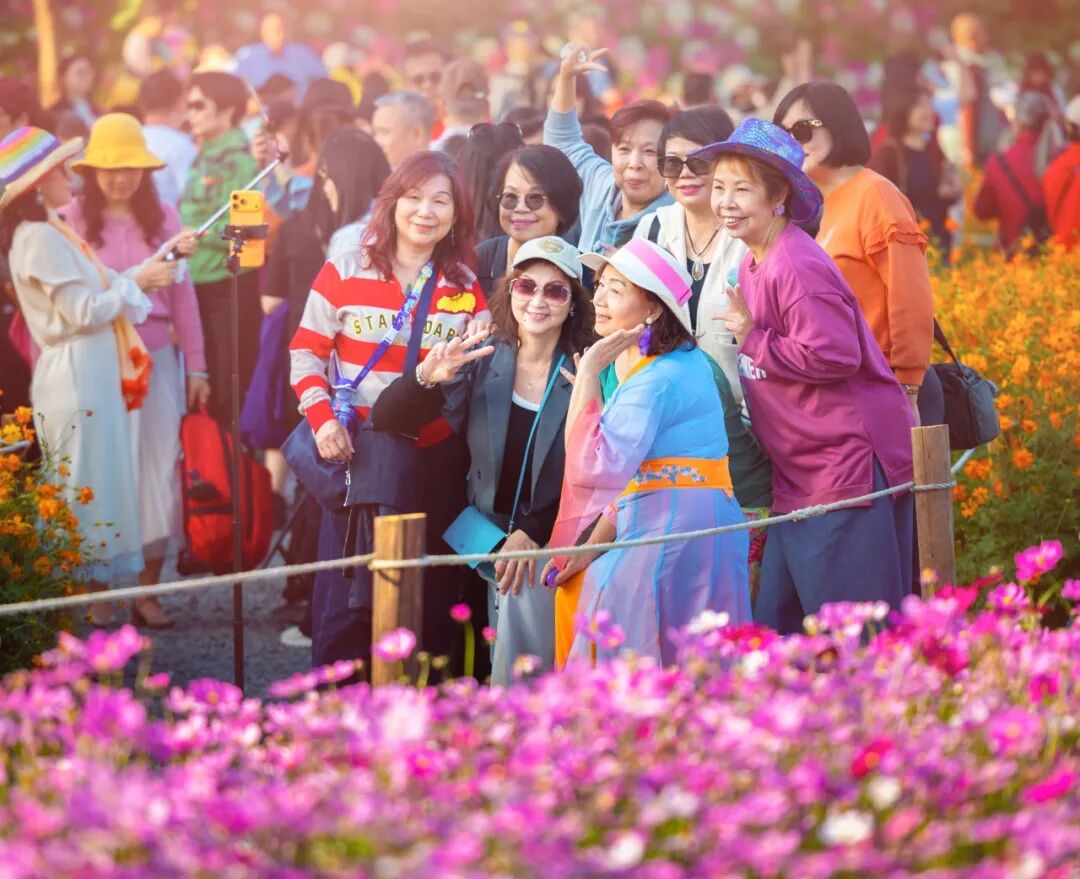 2025.11.28菊花会花海音乐会_陈健鸿_摄233.JPG