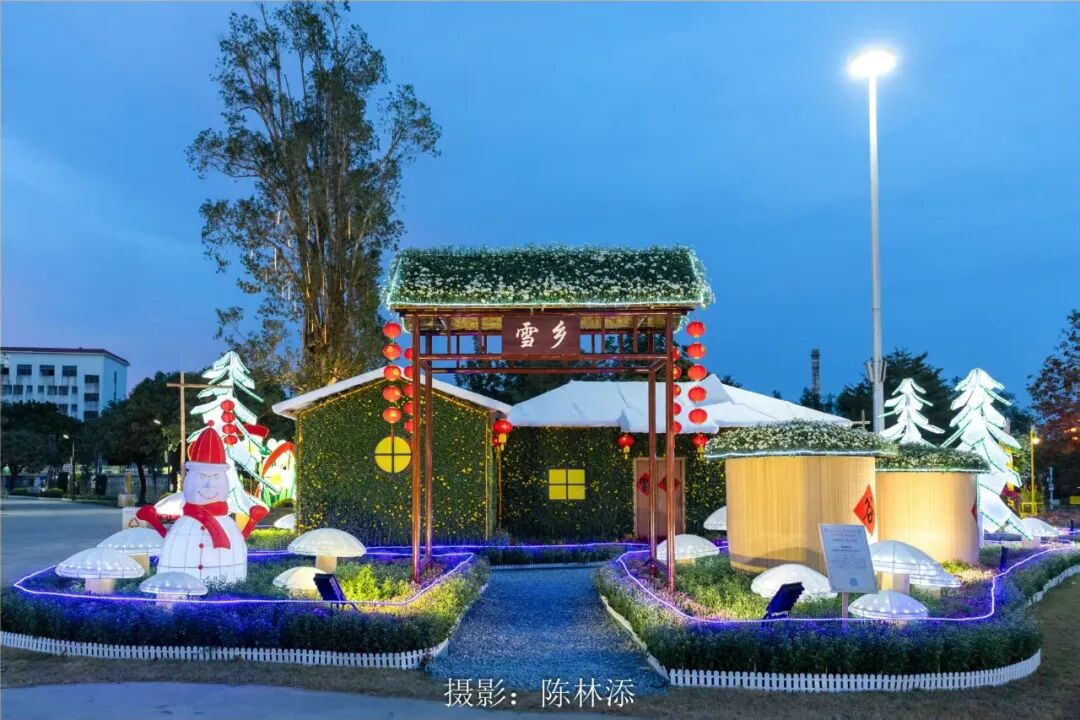 1127菊艺造景夜景 (7).jpg