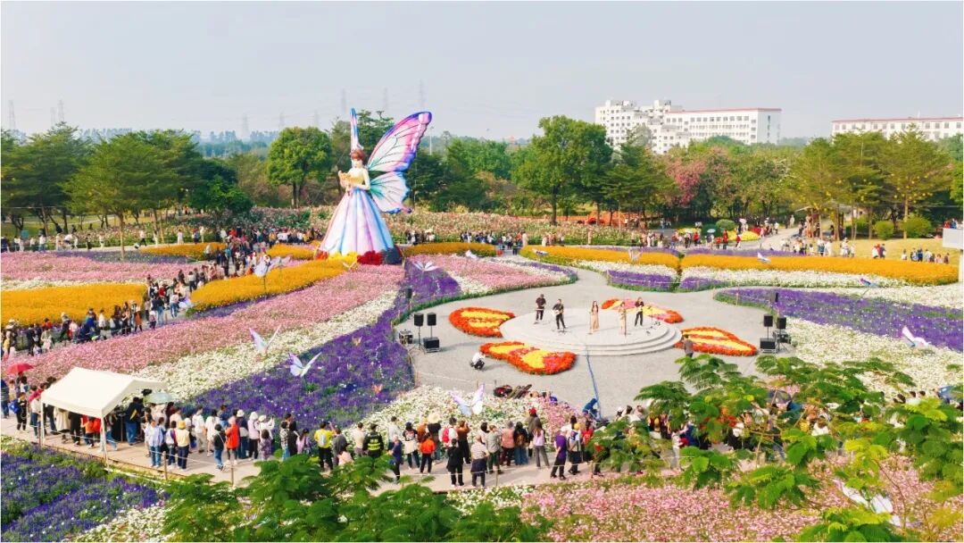 DJI_20251206144701_0084_D 拷贝_副本.jpg