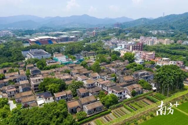 翠亨村全村土地面积超过22平方公里。